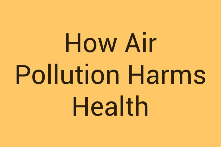 how-air-pollution-harms-health