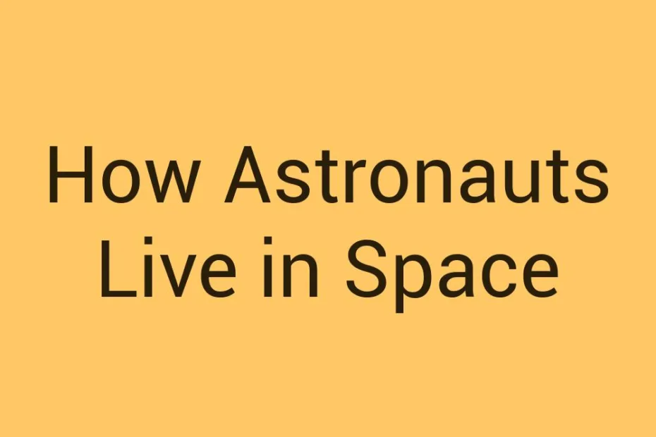 how-astronauts-live-in-space