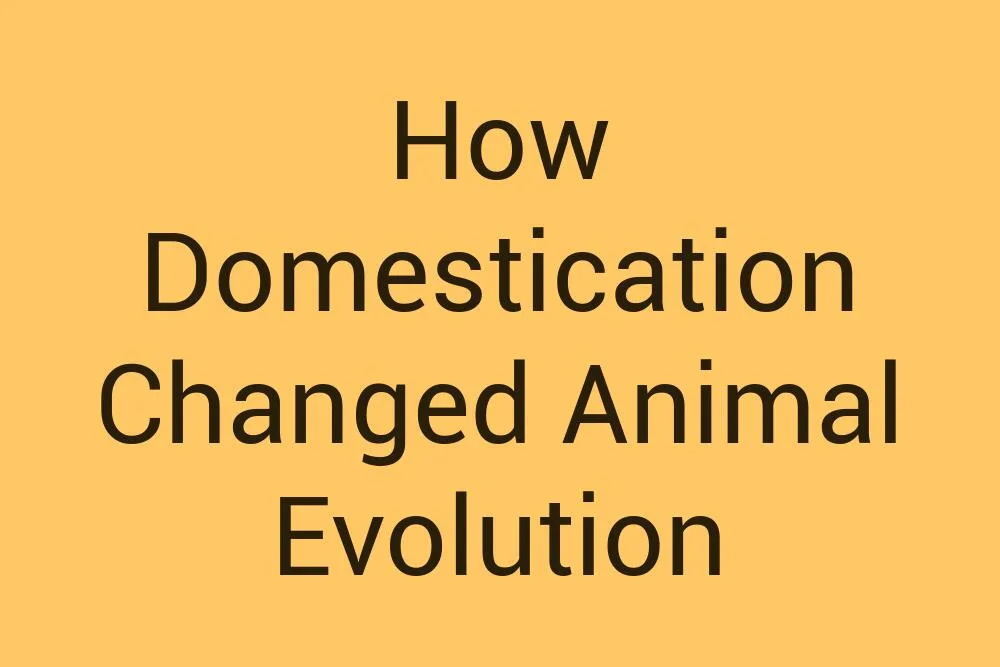 how-domestication-changed-animal-evolution