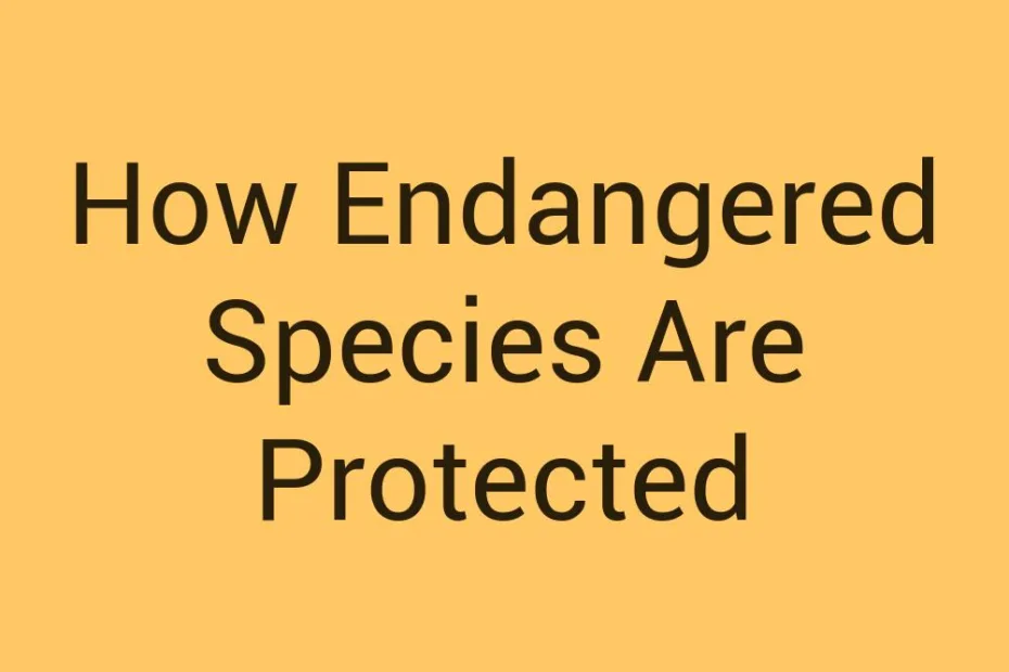 how-endangered-species-are-protected