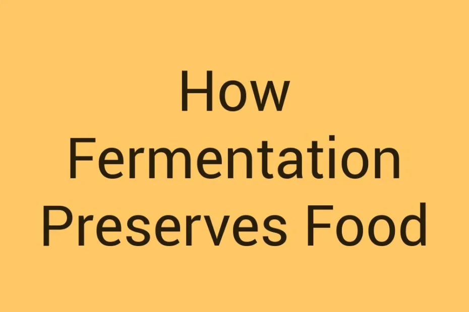 how-fermentation-preserves-food