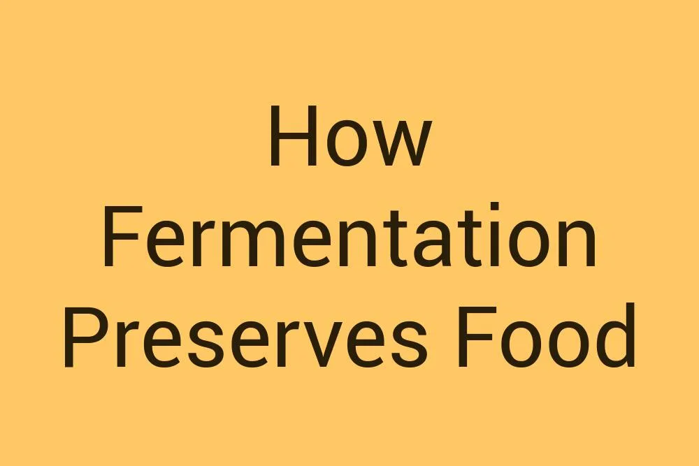 how-fermentation-preserves-food