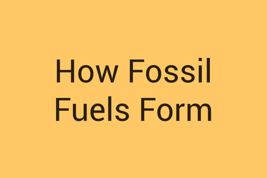 how-fossil-fuels-form