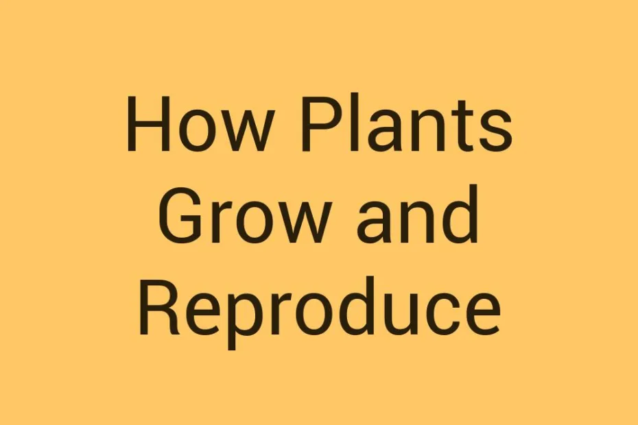how-plants-grow-and-reproduce