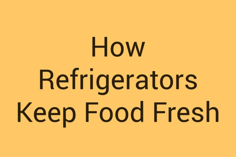 how-refrigerators-keep-food-fresh
