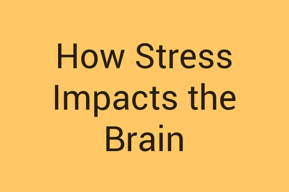 How Stress Impacts the Brain - Infysia