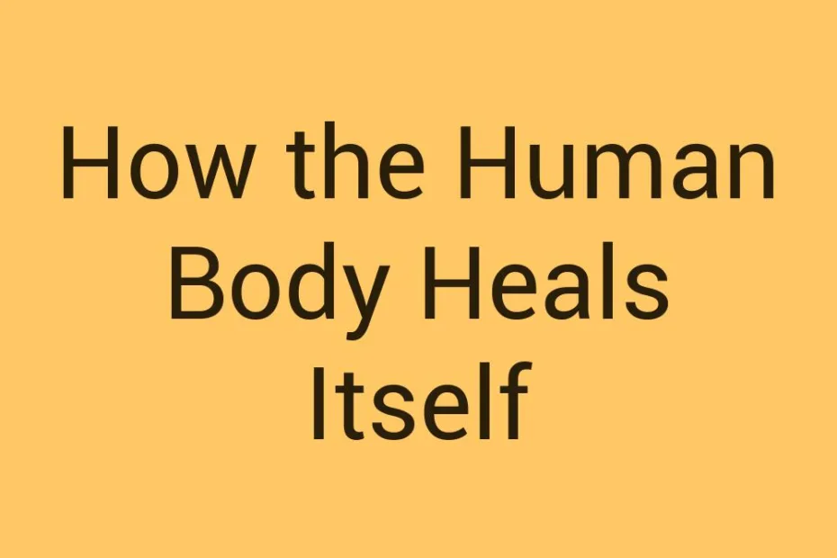 how-the-human-body-heals-itself