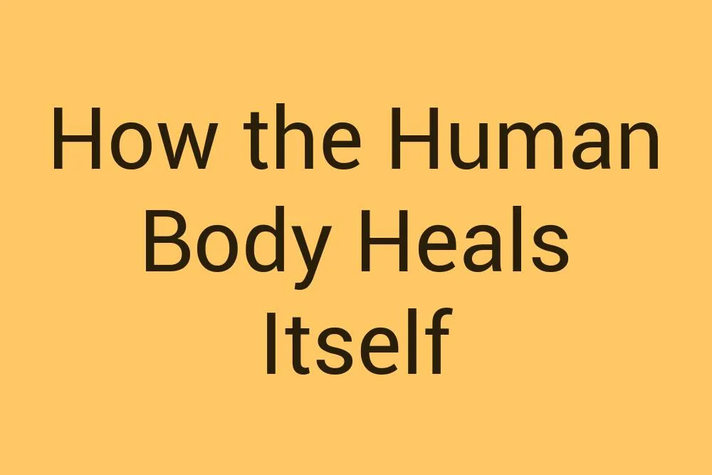 how-the-human-body-heals-itself