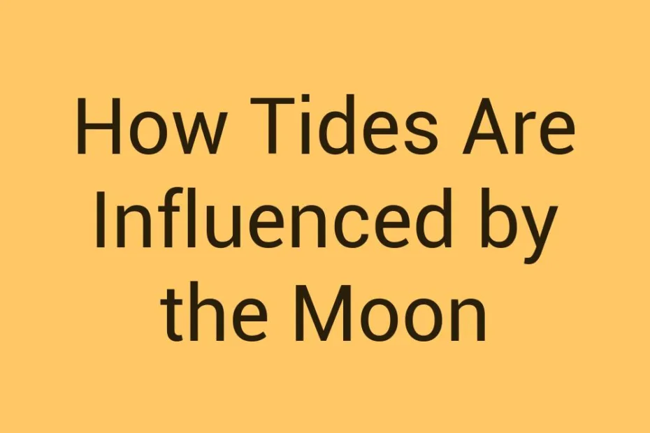 how-tides-are-influenced-by-the-moon