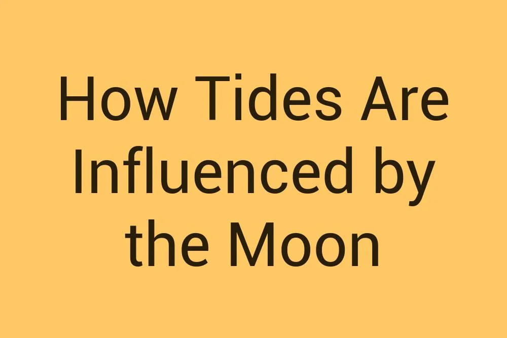 How Tides Are Influenced by the Moon - Infysia