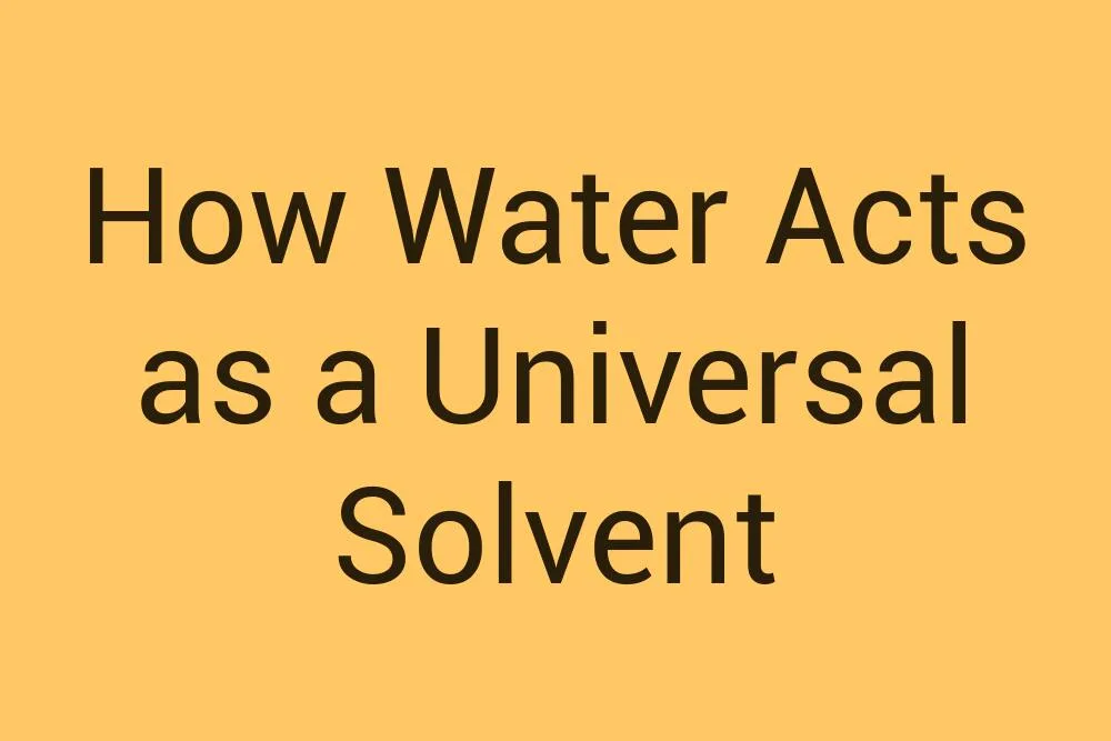 how-water-acts-as-a-universal-solvent