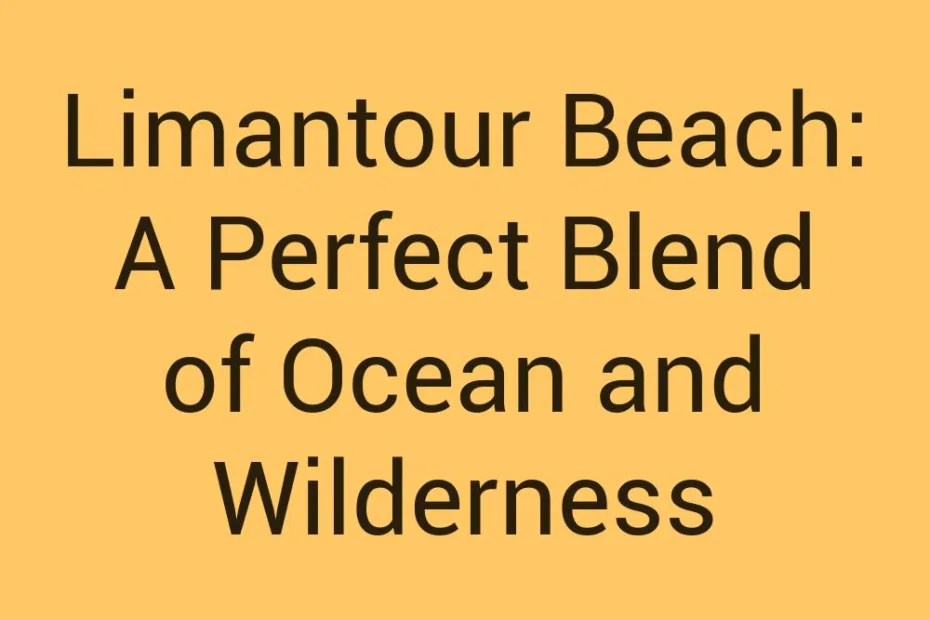 limantour-beach-a-perfect-blend-of-ocean-and-wilderness