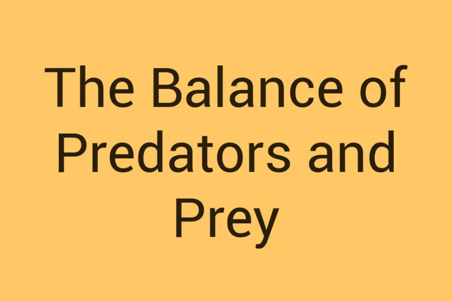 the-balance-of-predators-and-prey