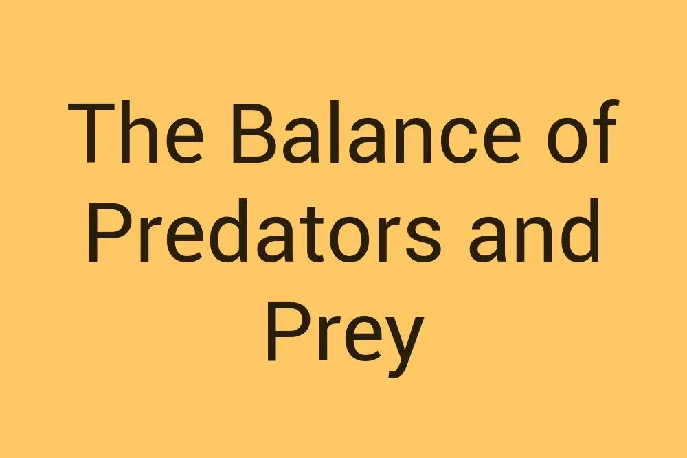 the-balance-of-predators-and-prey