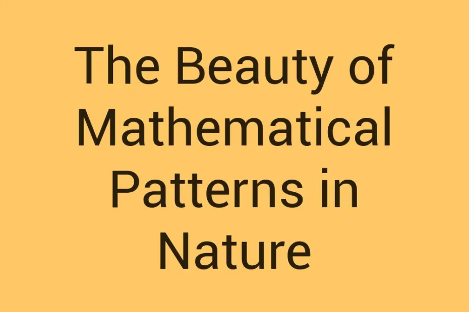 the-beauty-of-mathematical-patterns-in-nature