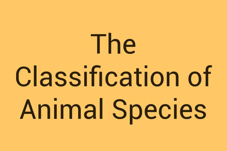 the-classification-of-animal-species