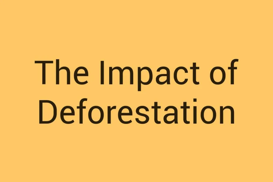 the-impact-of-deforestation