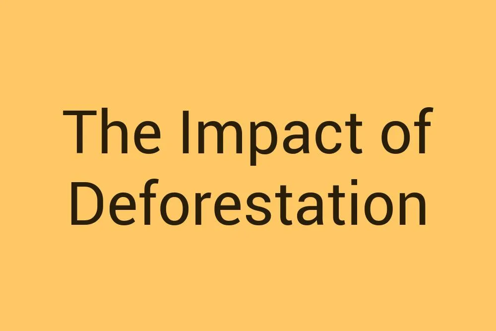 the-impact-of-deforestation