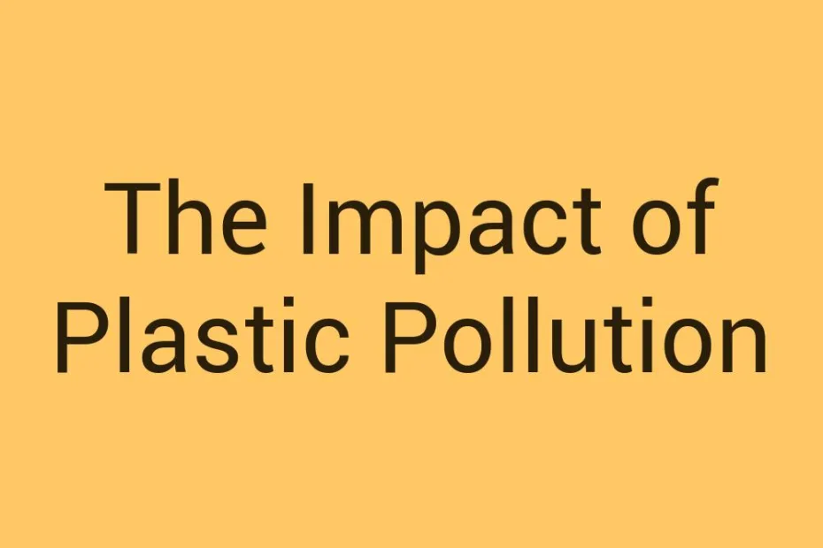 the-impact-of-plastic-pollution