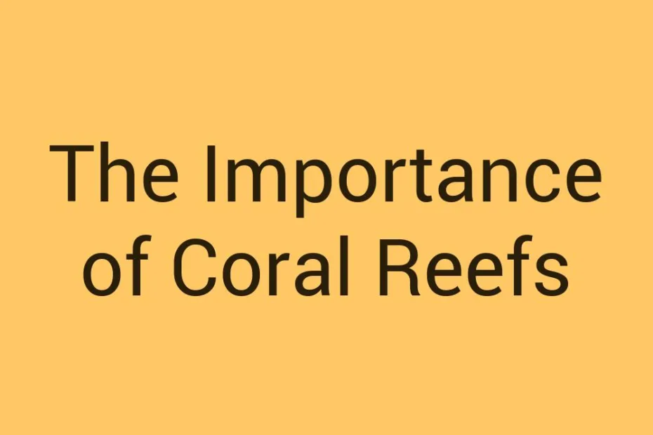 the-importance-of-coral-reefs
