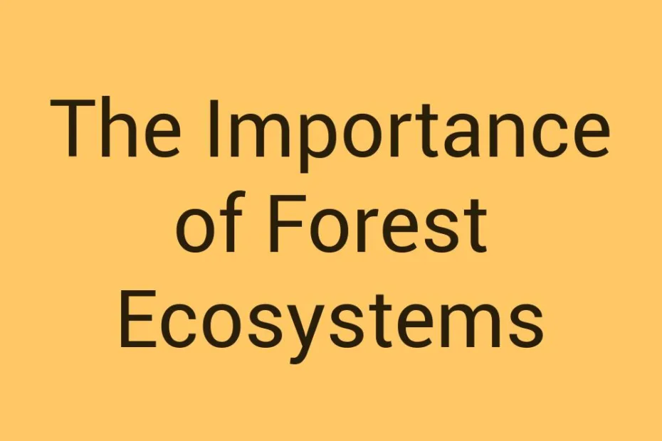 the-importance-of-forest-ecosystems