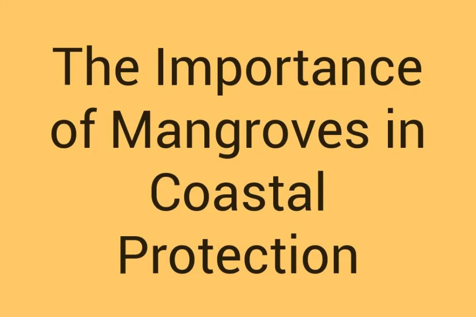 the-importance-of-mangroves-in-coastal-protection