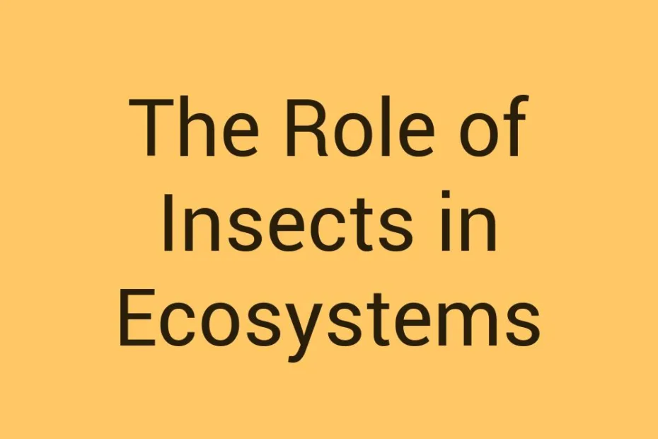 the-role-of-insects-in-ecosystems