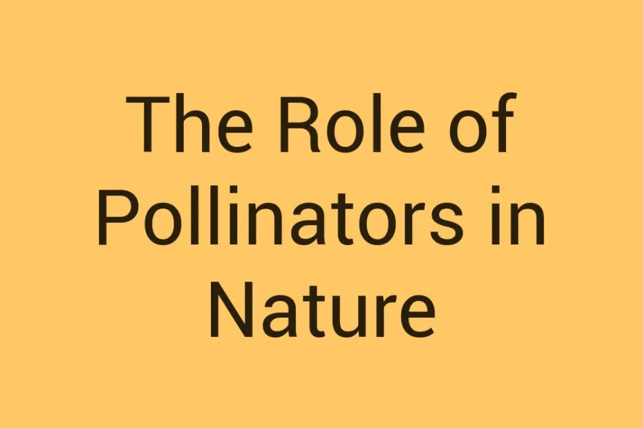 the-role-of-pollinators-in-nature