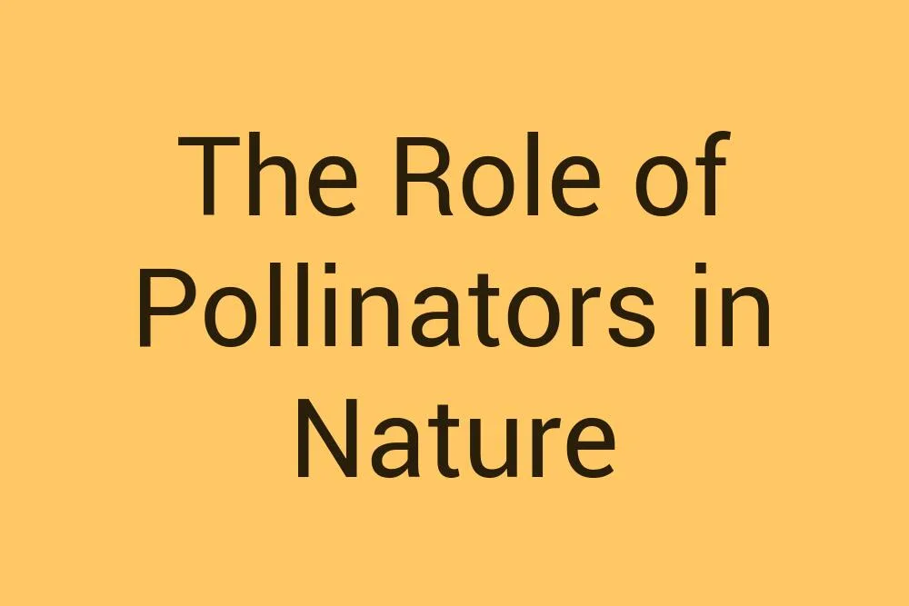 The Role of Pollinators in Nature - Infysia