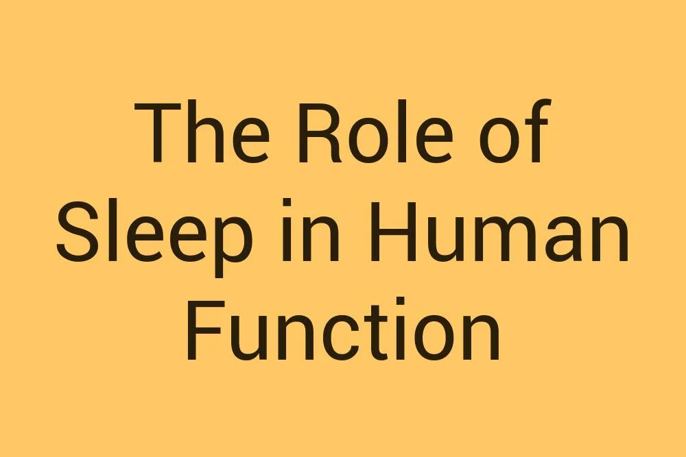 The Role of Sleep in Human Function - Infysia