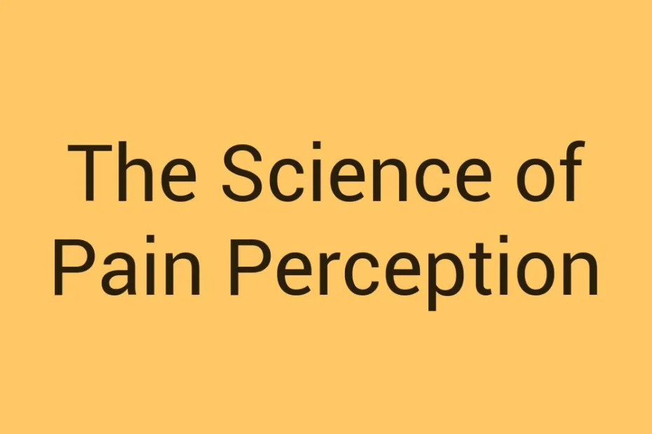 the-science-of-pain-perception