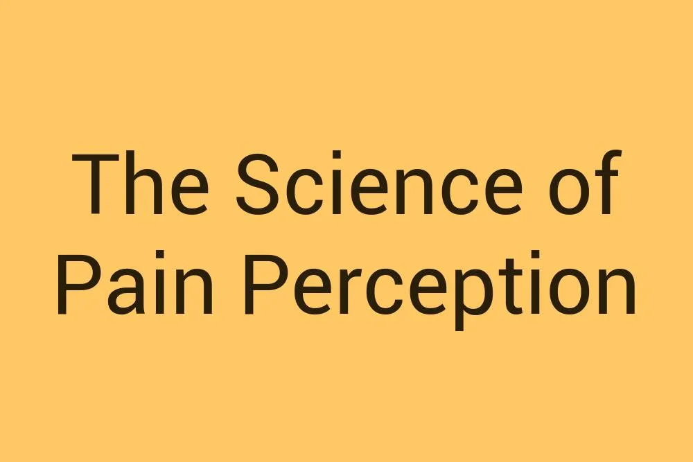 the-science-of-pain-perception