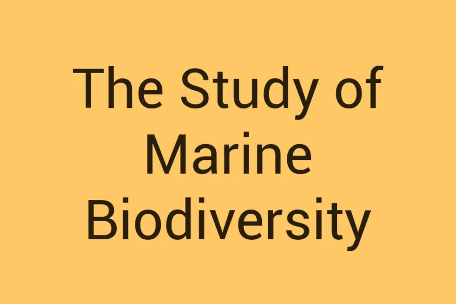 the-study-of-marine-biodiversity