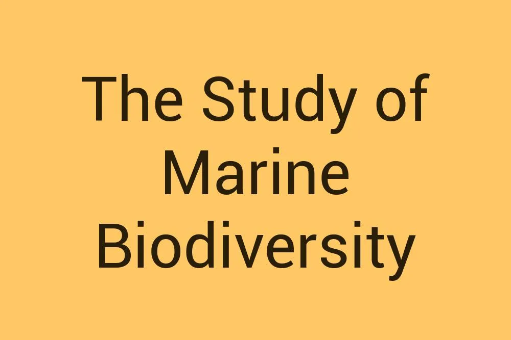 the-study-of-marine-biodiversity