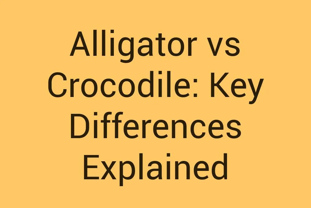 Alligator Vs Crocodile Key Differences Explained