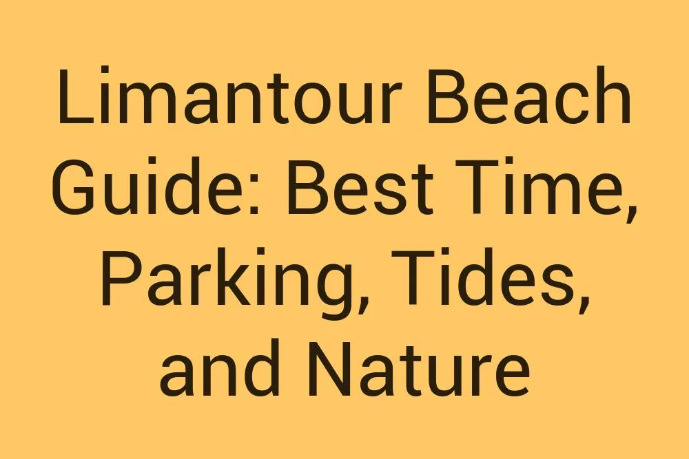 Limantour Beach Guide Best Time Parking Tides And Nature