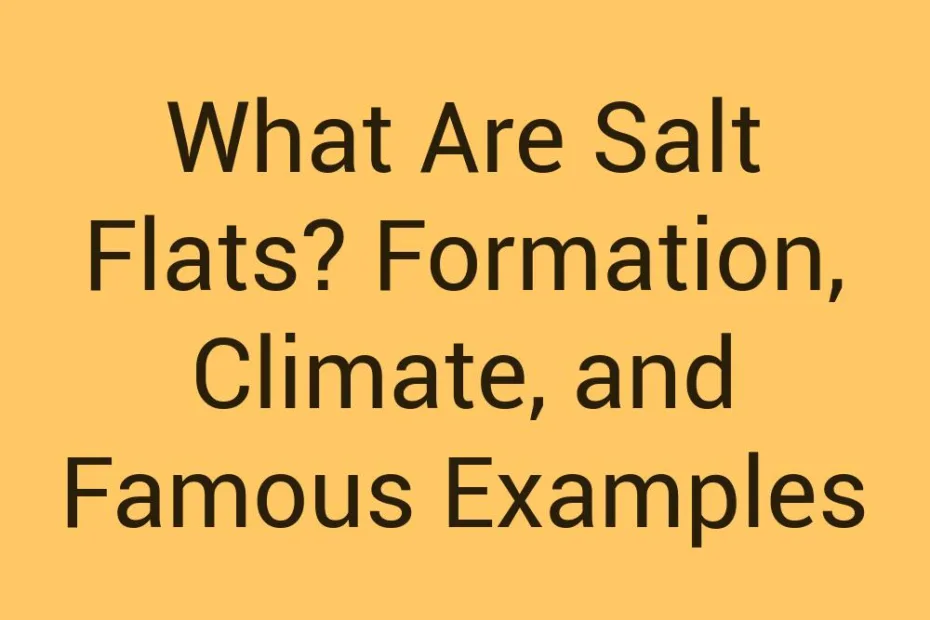 What Are Salt Flats Formation Climate And Famous Examples