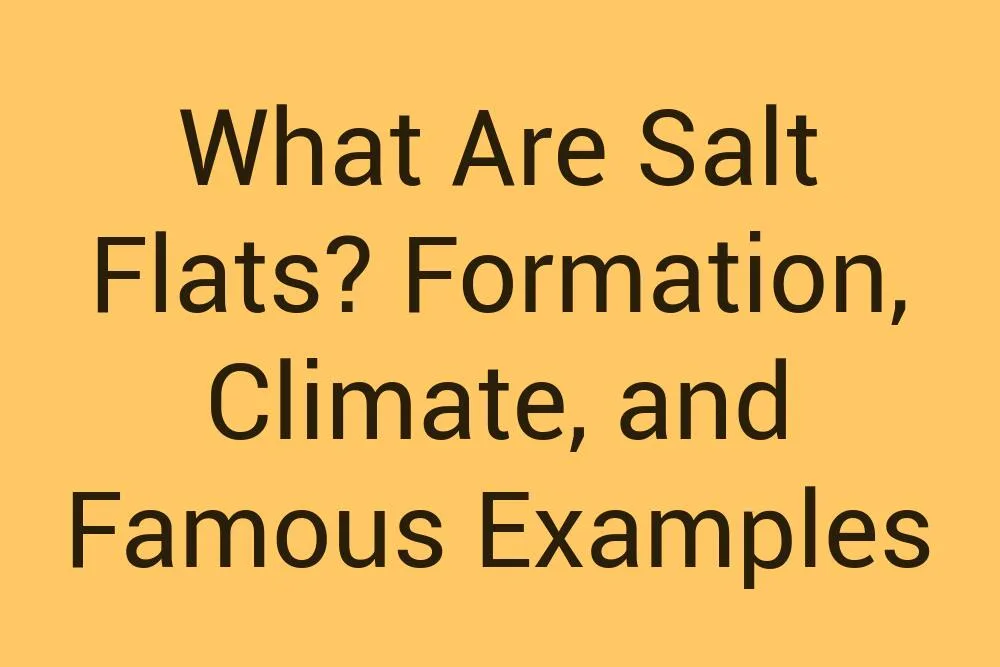 What Are Salt Flats Formation Climate And Famous Examples