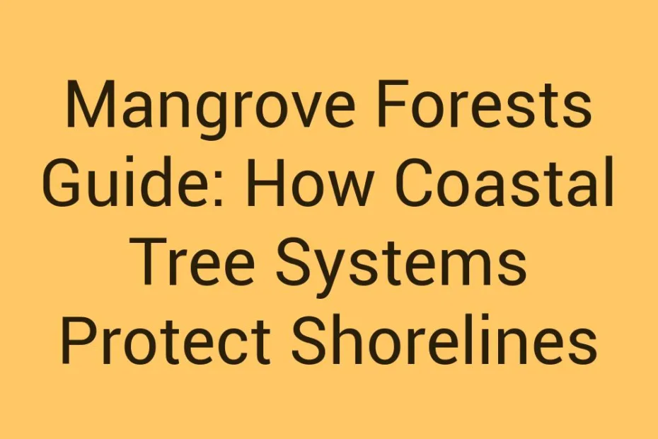 Mangrove Forests Guide How Coastal Tree Systems Protect Shorelines