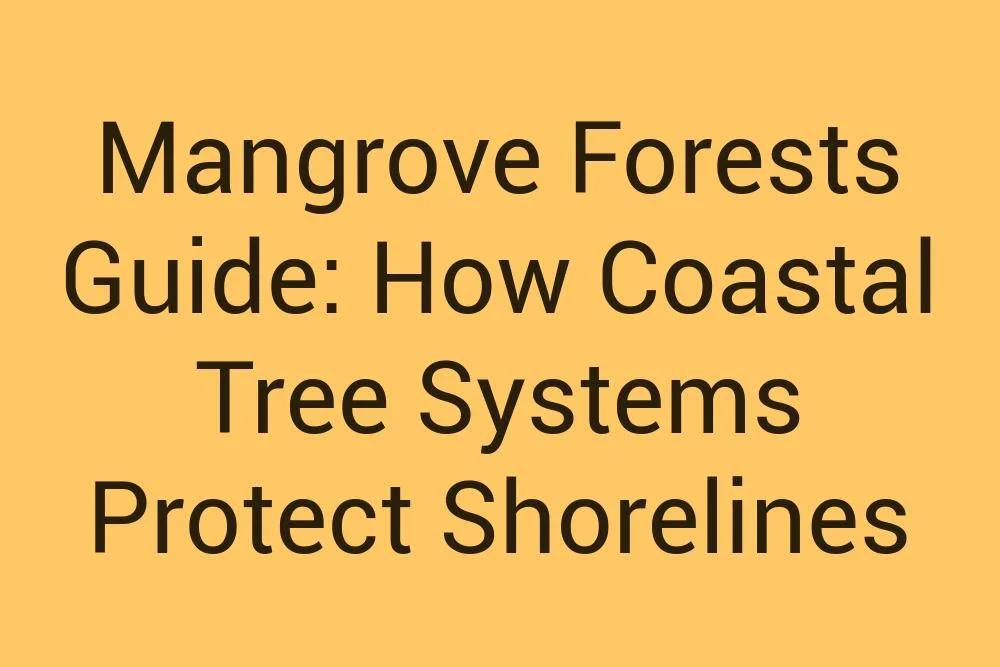 Mangrove Forests Guide How Coastal Tree Systems Protect Shorelines